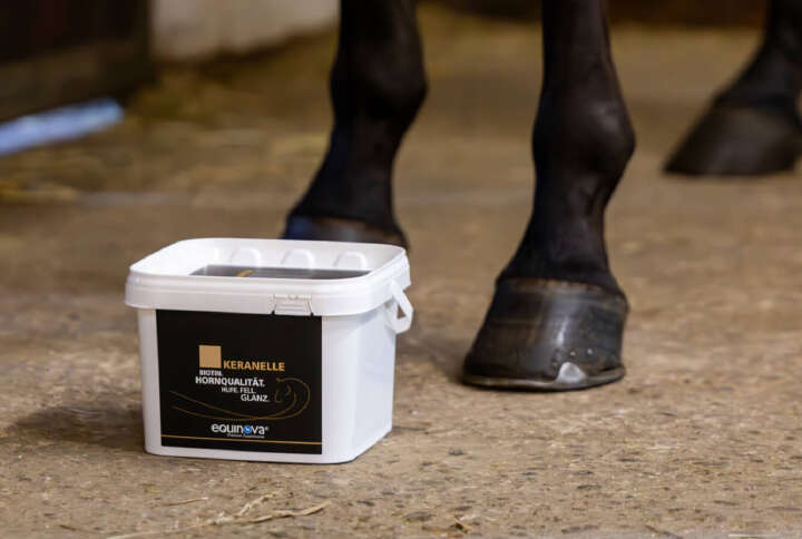 teaser fellwechsel landingpage keranelle teaser fellwechsel landingpage keranelle